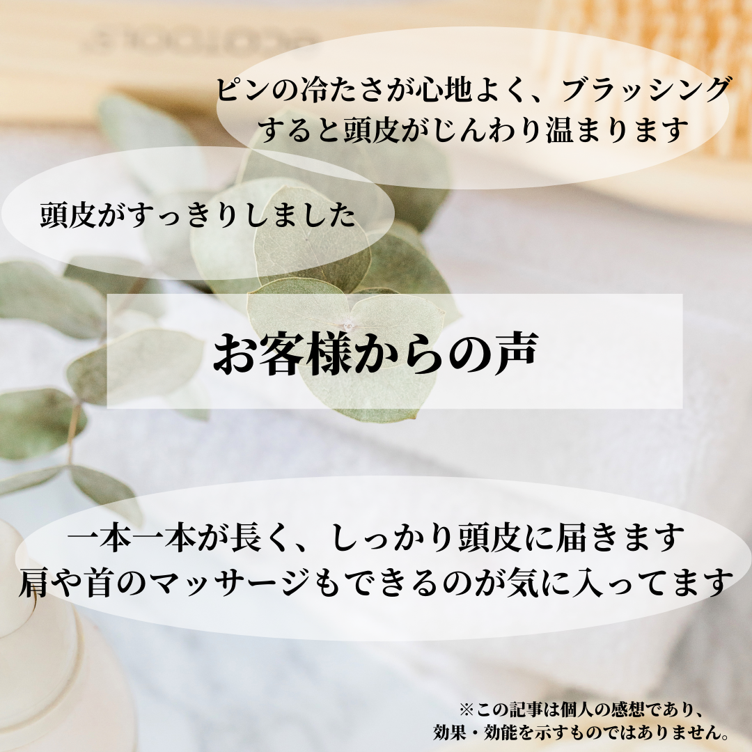 SNOW FOX SKINCARE(スノー フォックス スキンケア) プレミアム FOXカッサ ウッド ヘアブラシ